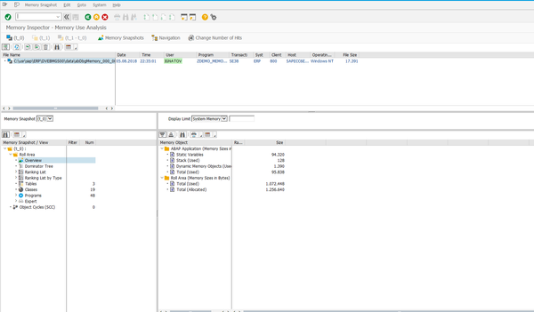 Memory Snapshots in SAP